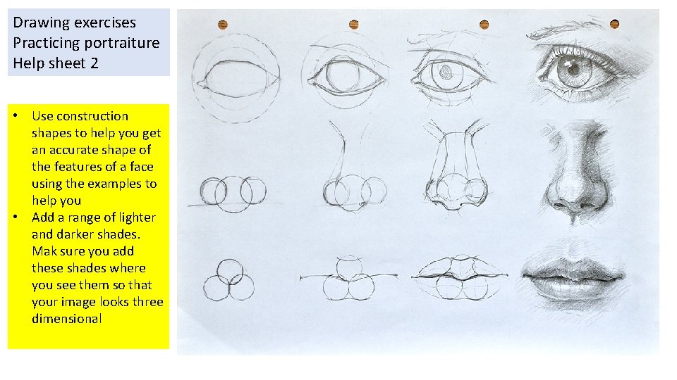 Drawing exercises Practicing portraiture Help sheet 2 • Use construction shapes to help you