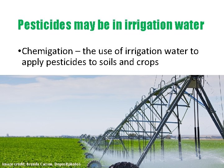 Pesticides may be in irrigation water • Chemigation – the use of irrigation water