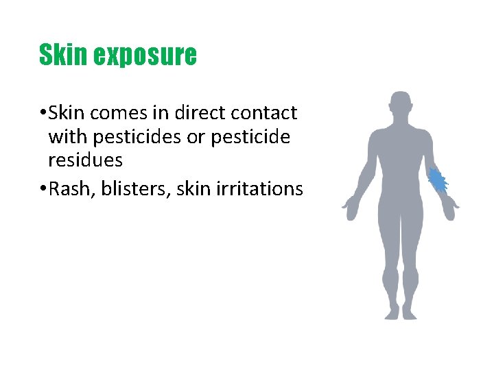 Skin exposure • Skin comes in direct contact with pesticides or pesticide residues •