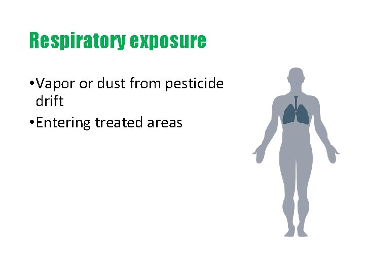 Respiratory exposure • Vapor or dust from pesticide drift • Entering treated areas 