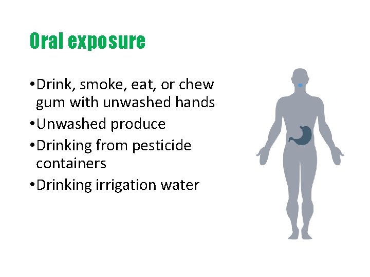 Oral exposure • Drink, smoke, eat, or chew gum with unwashed hands • Unwashed