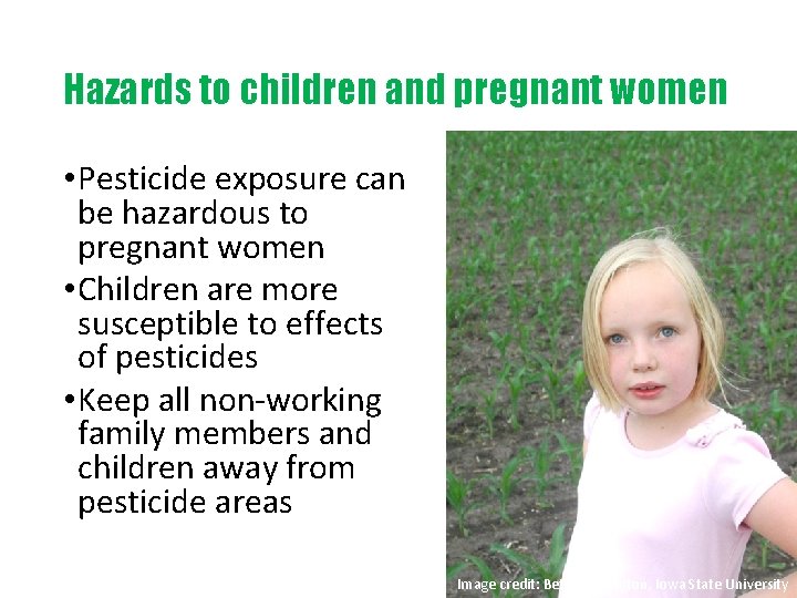 Hazards to children and pregnant women • Pesticide exposure can be hazardous to pregnant