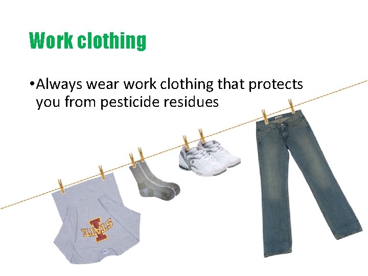 Work clothing • Always wear work clothing that protects you from pesticide residues 