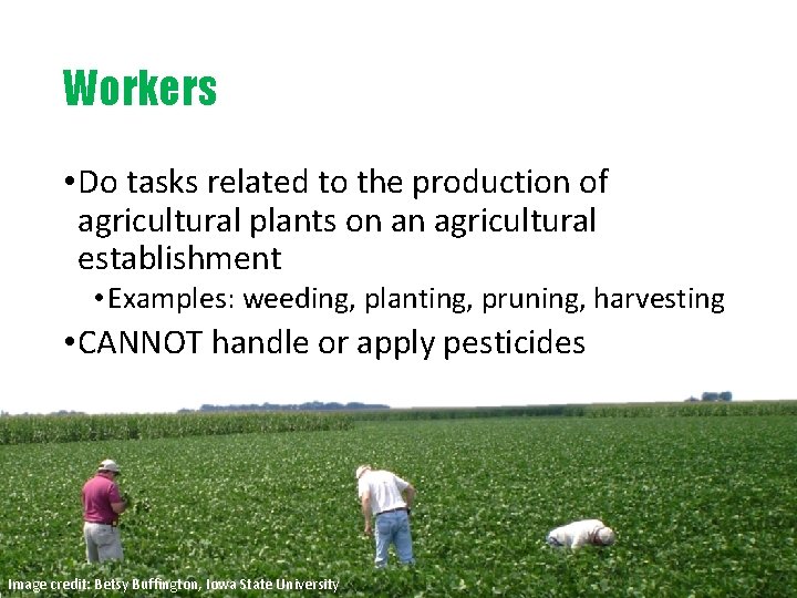 Workers • Do tasks related to the production of agricultural plants on an agricultural