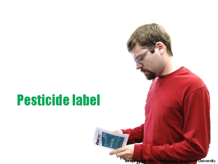 Pesticide label Image credit: Betsy Buffington, Iowa State University 