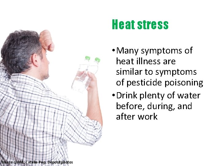 Heat stress • Many symptoms of heat illness are similar to symptoms of pesticide