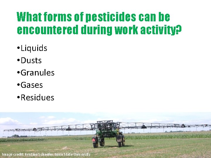 What forms of pesticides can be encountered during work activity? • Liquids • Dusts