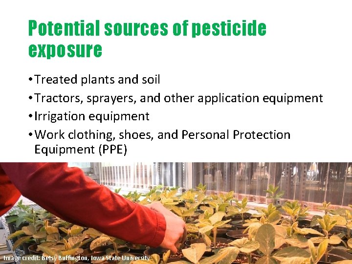 Potential sources of pesticide exposure • Treated plants and soil • Tractors, sprayers, and