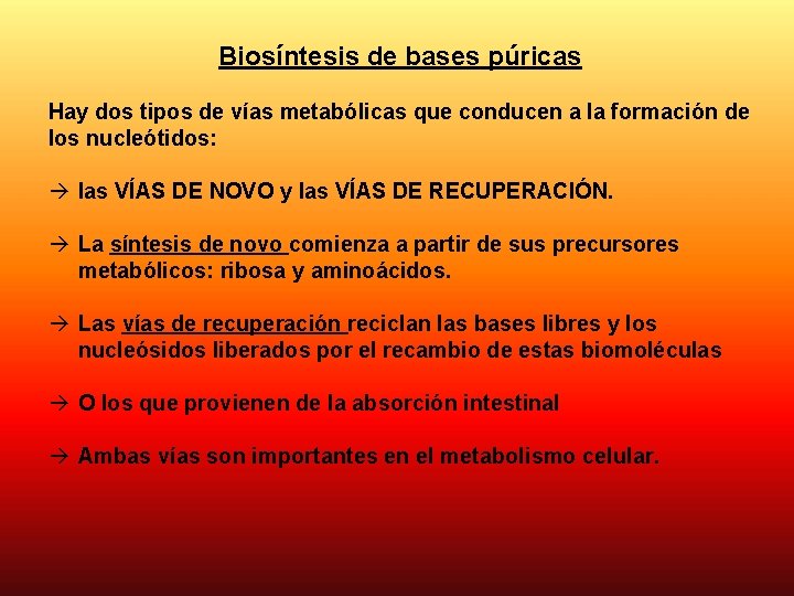Biosíntesis de bases púricas Hay dos tipos de vías metabólicas que conducen a la
