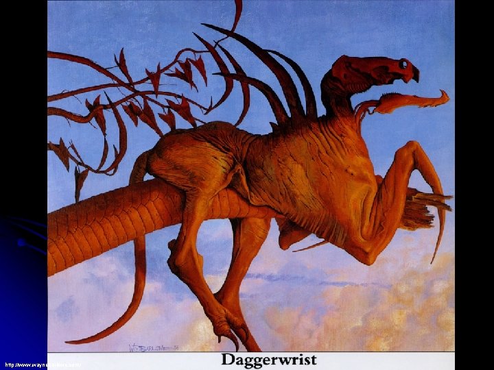 http: //www. waynebarlowe. com/ 