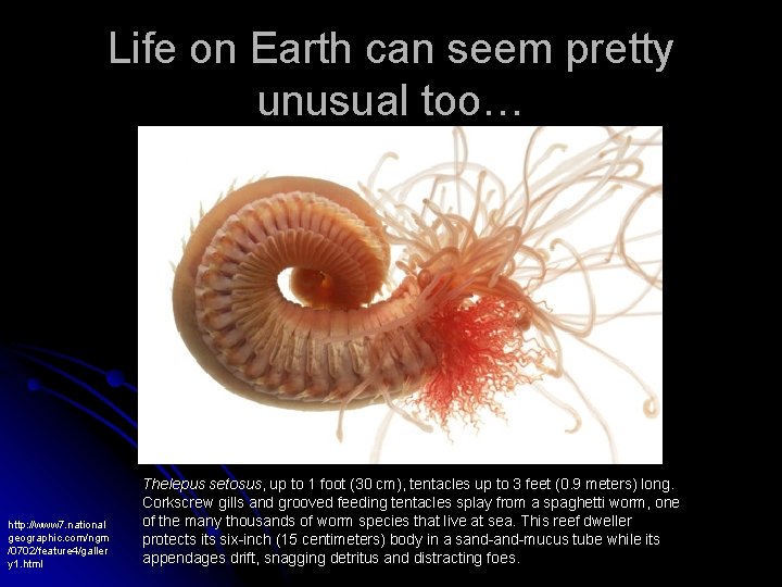 Life on Earth can seem pretty unusual too… http: //www 7. national geographic. com/ngm