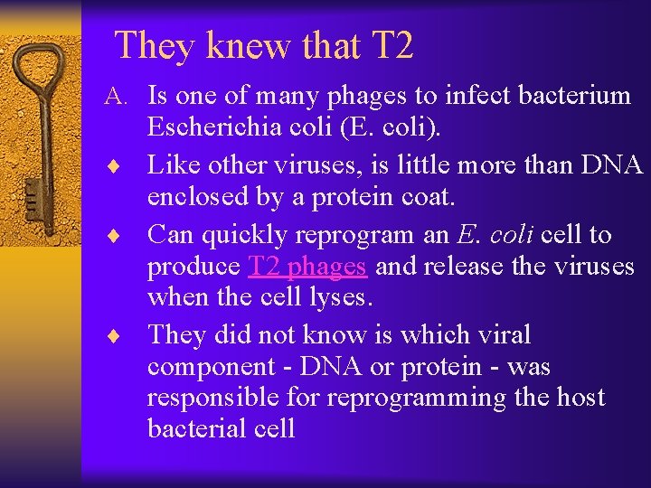 They knew that T 2 A. Is one of many phages to infect bacterium