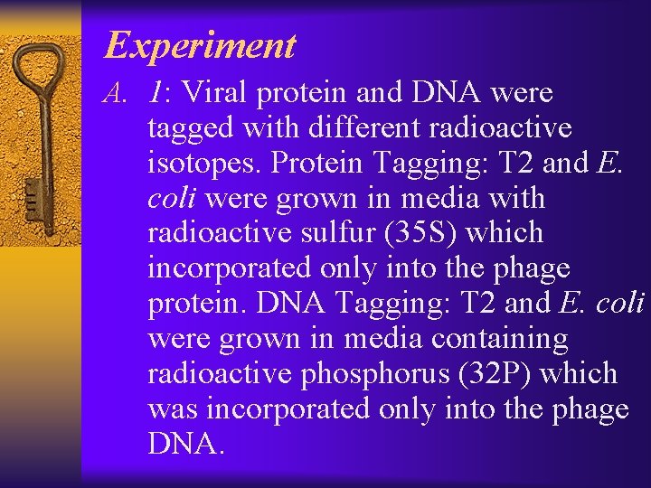 Experiment A. 1: Viral protein and DNA were tagged with different radioactive isotopes. Protein