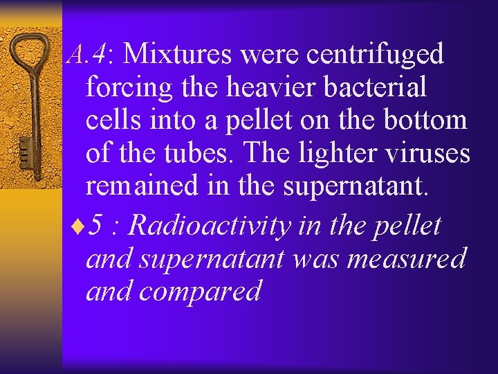 A. 4: Mixtures were centrifuged forcing the heavier bacterial cells into a pellet on
