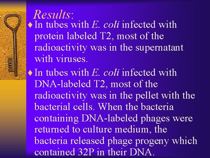 Results: ¨ In tubes with E. coli infected with protein labeled T 2, most
