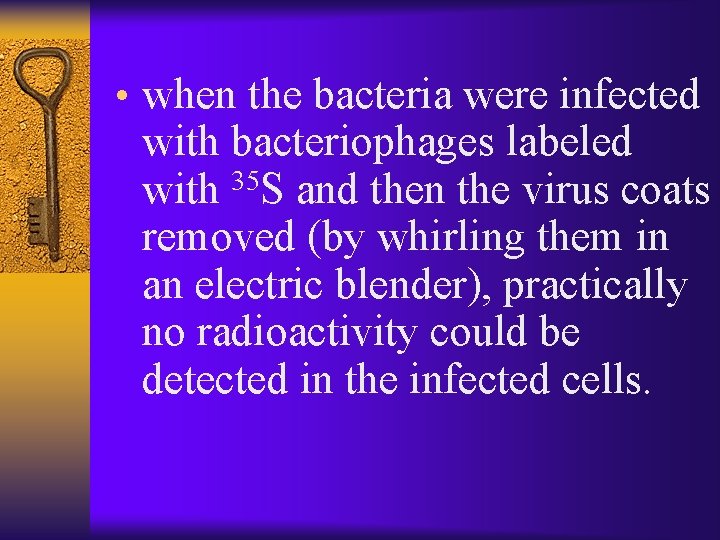  • when the bacteria were infected with bacteriophages labeled with 35 S and