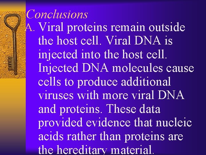 Conclusions A. Viral proteins remain outside the host cell. Viral DNA is injected into