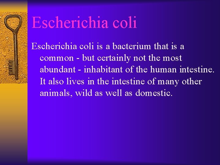 Escherichia coli is a bacterium that is a common - but certainly not the