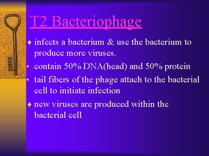 T 2 Bacteriophage ¨ infects a bacterium & use the bacterium to produce more
