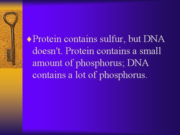 ¨Protein contains sulfur, but DNA doesn't. Protein contains a small amount of phosphorus; DNA