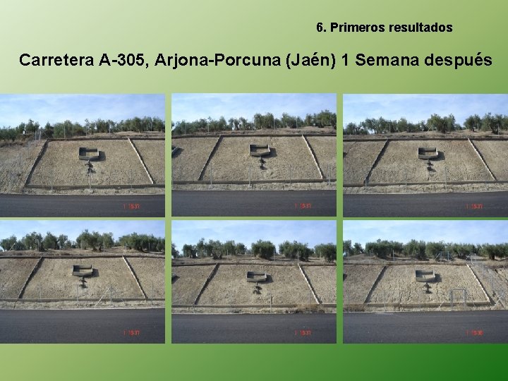 6. Primeros resultados Carretera A-305, Arjona-Porcuna (Jaén) 1 Semana después 