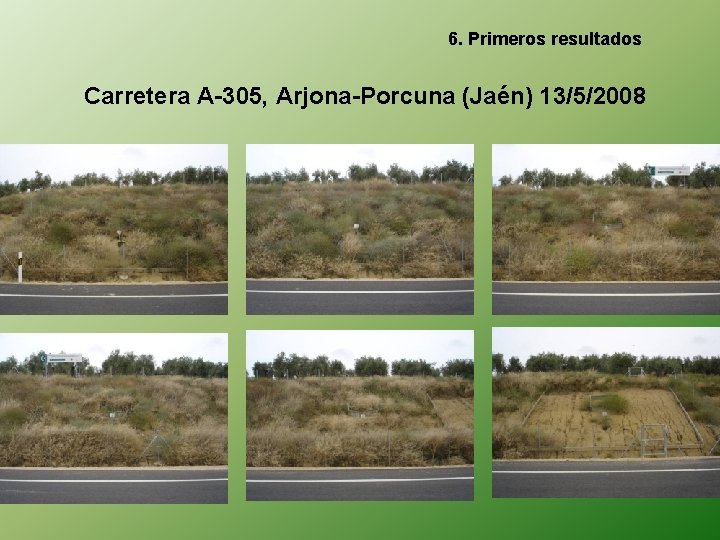 6. Primeros resultados Carretera A-305, Arjona-Porcuna (Jaén) 13/5/2008 