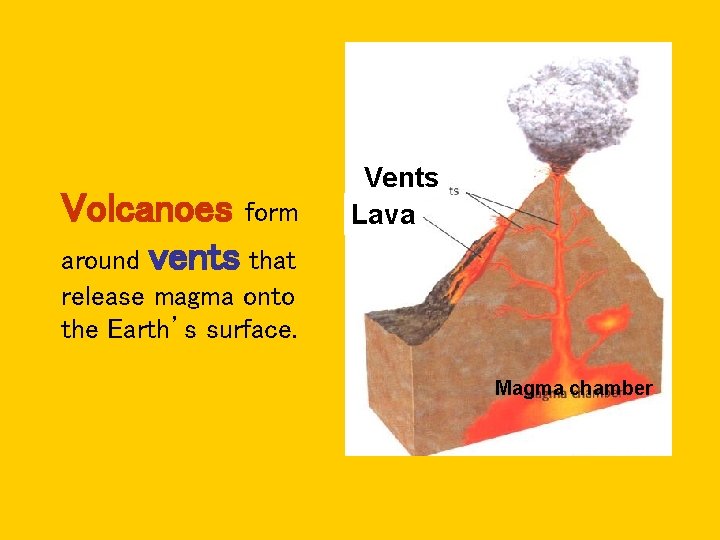 Volcanoes form around vents that Vents Lava release magma onto the Earth’s surface. Magma