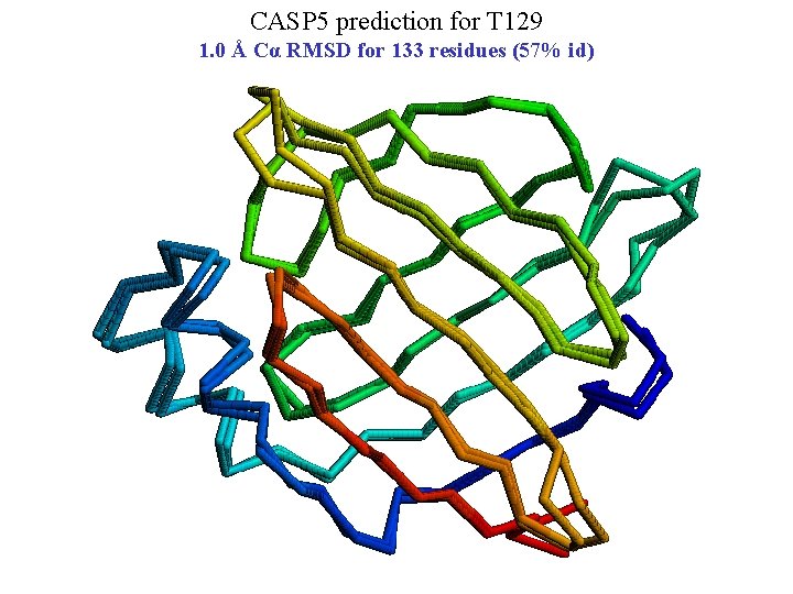 CASP 5 prediction for T 129 1. 0 Å Cα RMSD for 133 residues