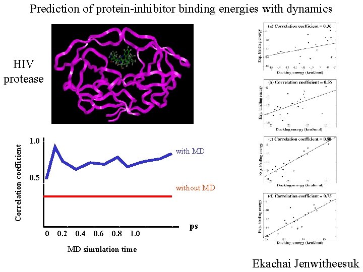 Prediction of protein-inhibitor binding energies with dynamics Correlation coefficient HIV protease 1. 0 with