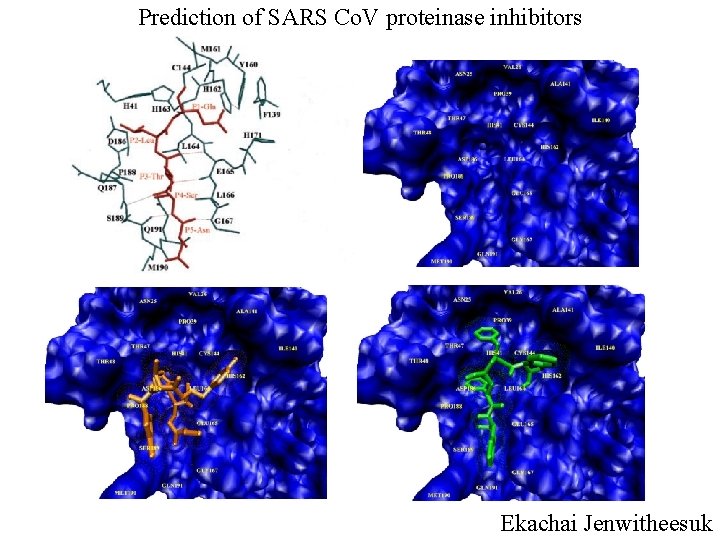 Prediction of SARS Co. V proteinase inhibitors Ekachai Jenwitheesuk 