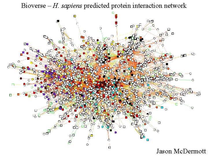 Bioverse – H. sapiens predicted protein interaction network Jason Mc. Dermott 