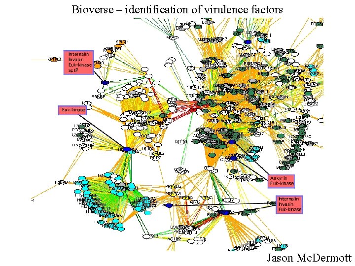 Bioverse – identification of virulence factors Jason Mc. Dermott 