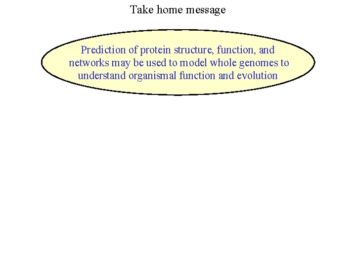 Take home message Prediction of protein structure, function, and networks may be used to