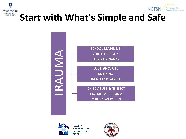 TRAUMA Start with What’s Simple and Safe SCHOOL READINESS YOUTH OBBESITY TEEN PREGNANCY SUBSTANCE