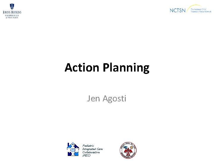 Action Planning Jen Agosti Pediatric Integrated Care Collaborative (PICC) 
