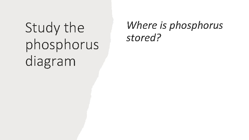 Study the phosphorus diagram Where is phosphorus stored? 