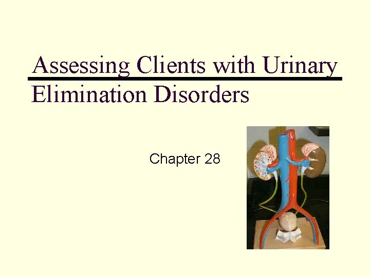 Assessing Clients with Urinary Elimination Disorders Chapter 28 
