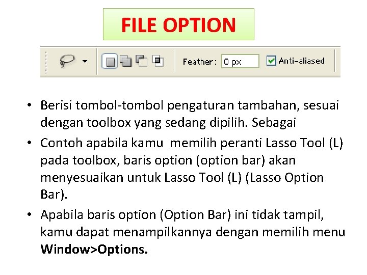 FILE OPTION • Berisi tombol-tombol pengaturan tambahan, sesuai dengan toolbox yang sedang dipilih. Sebagai