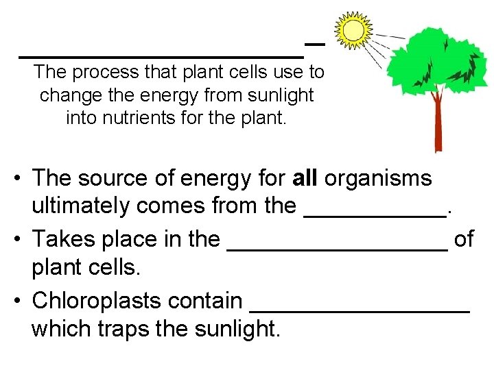 _________— The process that plant cells use to change the energy from sunlight into