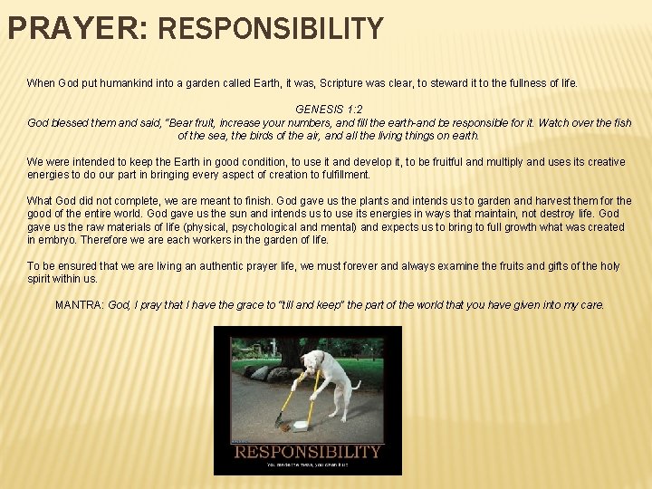 PRAYER: RESPONSIBILITY When God put humankind into a garden called Earth, it was, Scripture