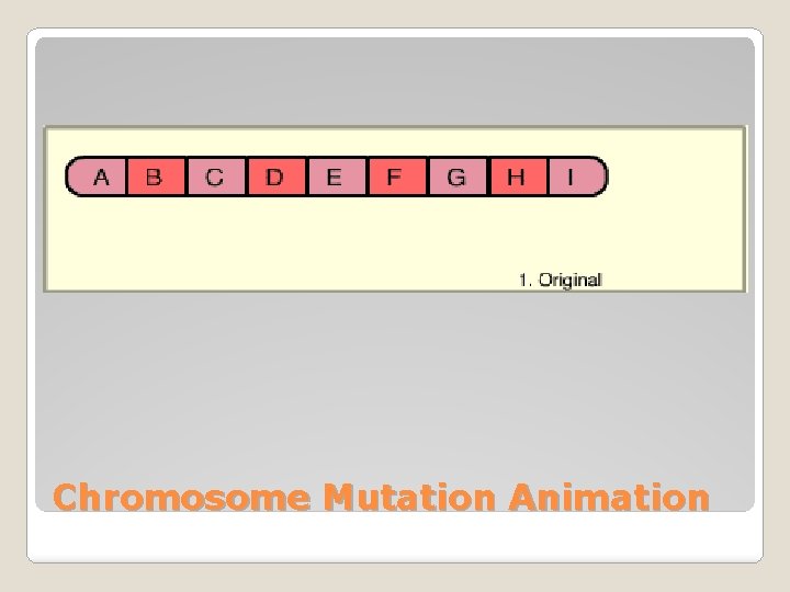 Chromosome Mutation Animation 