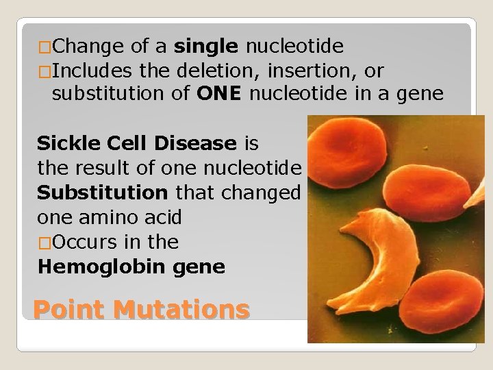 �Change of a single nucleotide �Includes the deletion, insertion, or substitution of ONE nucleotide