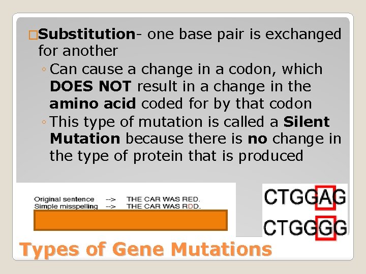 �Substitution- one base pair is exchanged for another ◦ Can cause a change in