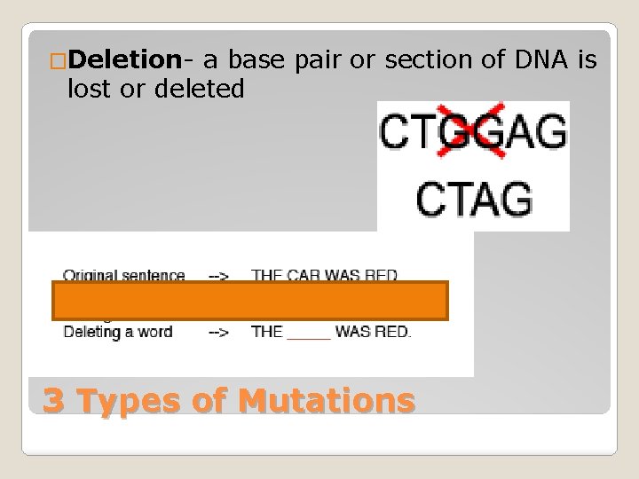 �Deletion- a base pair or section of DNA is lost or deleted 3 Types