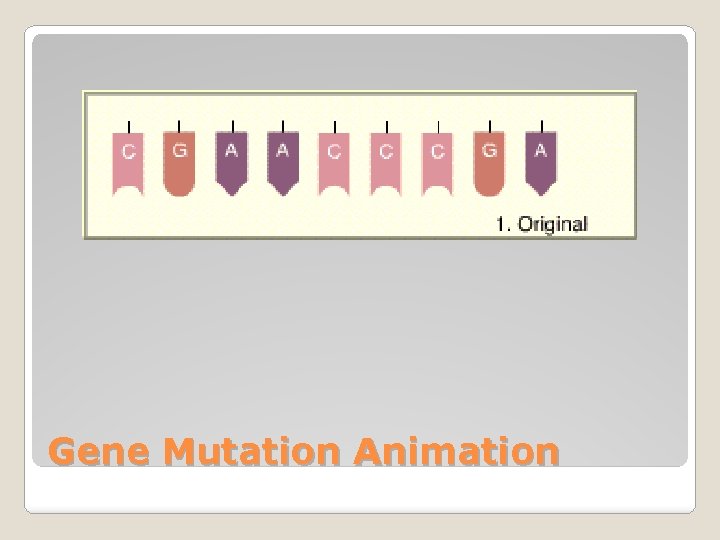 Gene Mutation Animation 