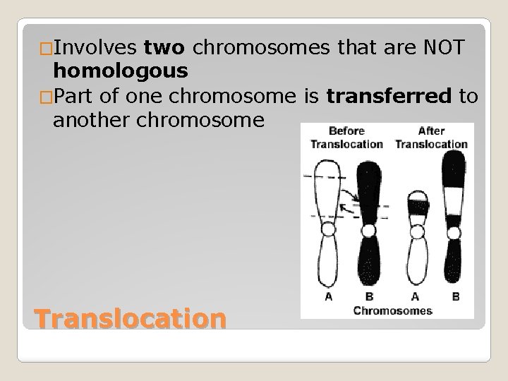 �Involves two chromosomes that are NOT homologous �Part of one chromosome is transferred to