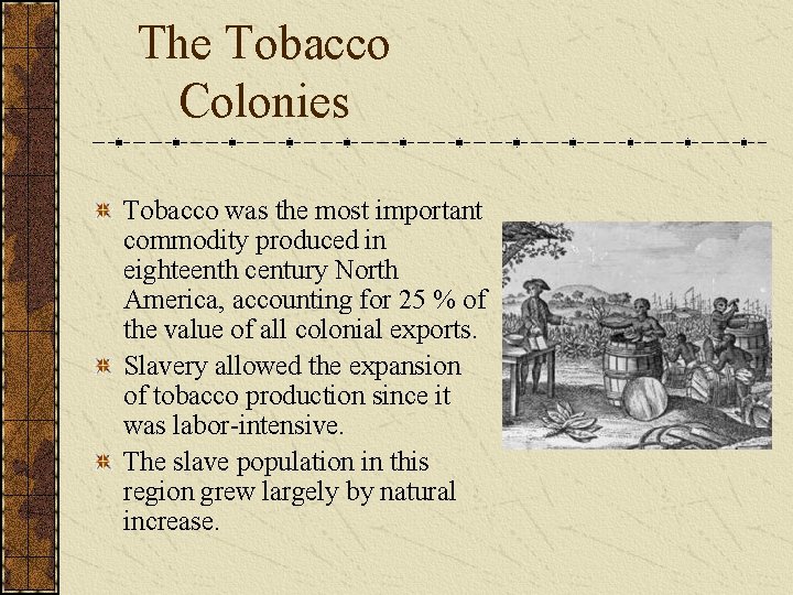 The Tobacco Colonies Tobacco was the most important commodity produced in eighteenth century North