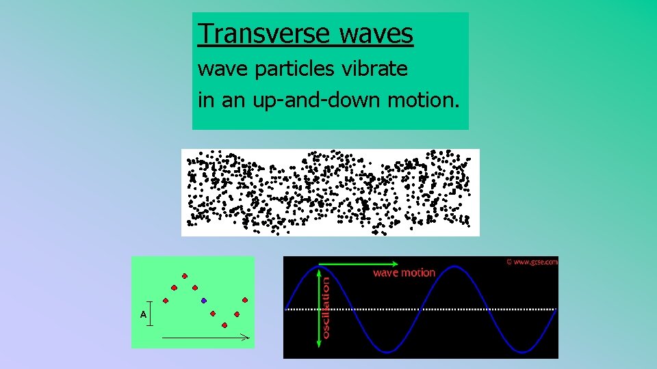 Transverse waves wave particles vibrate in an up-and-down motion. 