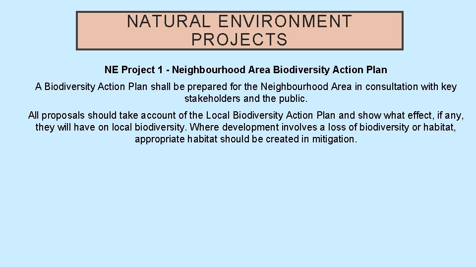 NATURAL ENVIRONMENT PROJECTS NE Project 1 - Neighbourhood Area Biodiversity Action Plan A Biodiversity