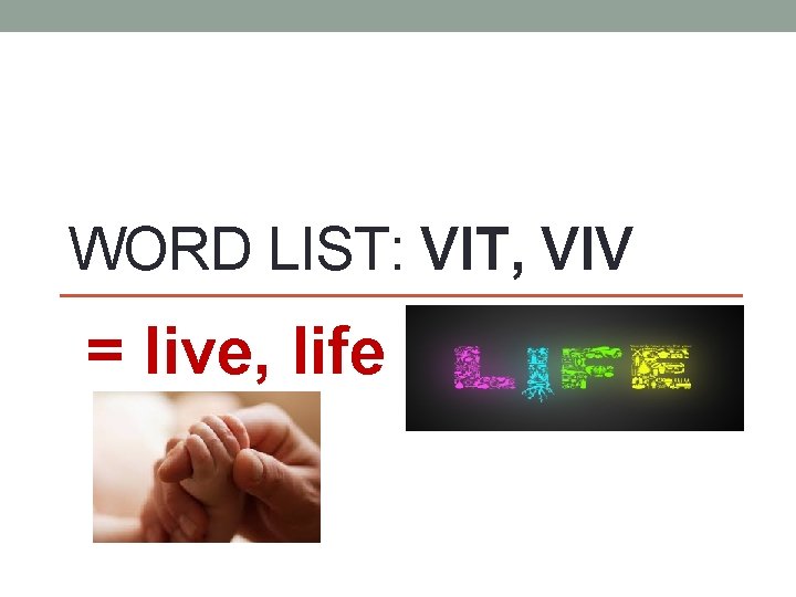 WORD LIST: VIT, VIV = live, life 